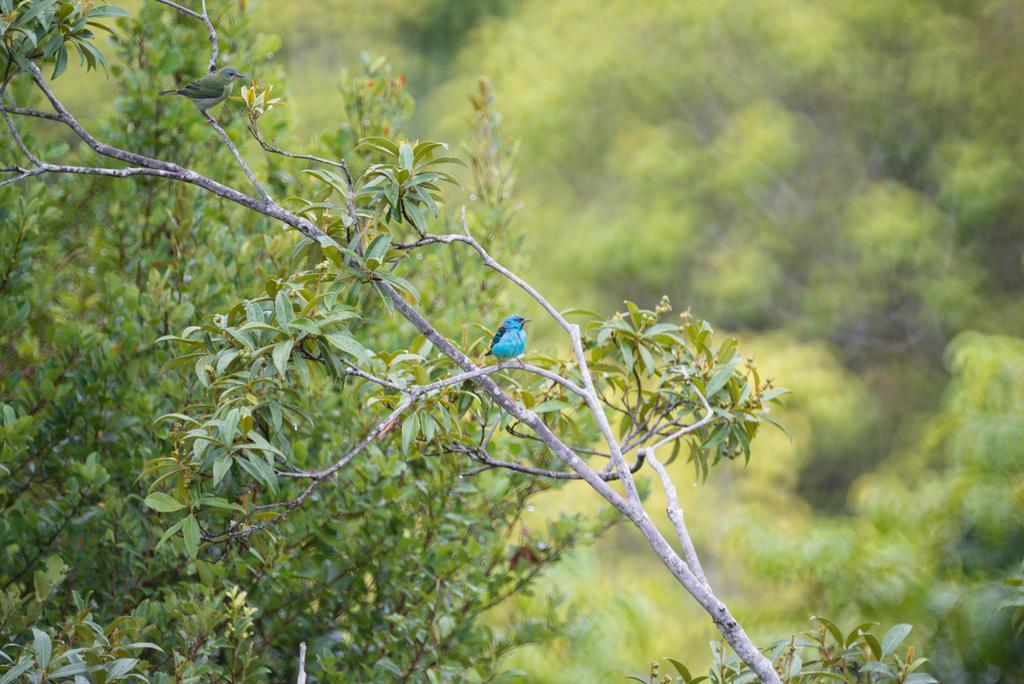 Pousada Mangabeiras Velha Boipeba Exterior foto